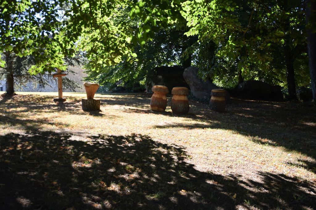 Domaine De La Rocque Liorac-sur-Louyre Exterior foto